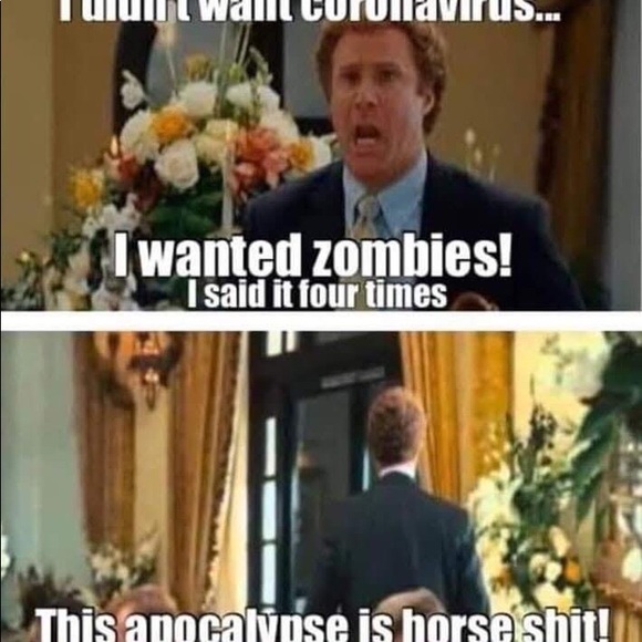 Meet your Posher, Sarah - Picture 6 of 6